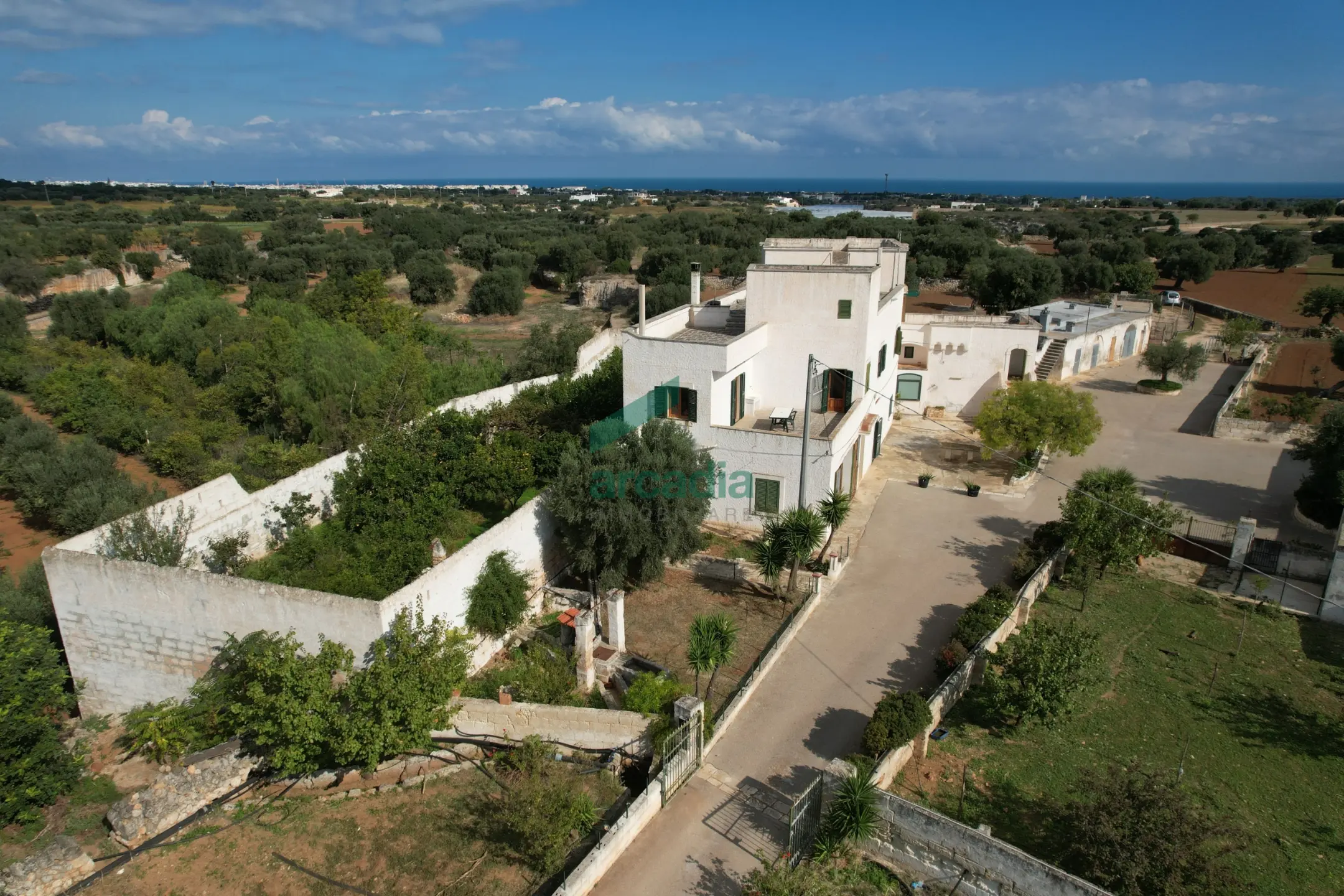 Immagine per Casale in vendita a Monopoli via Contrada Cristo Delle Zolle 209