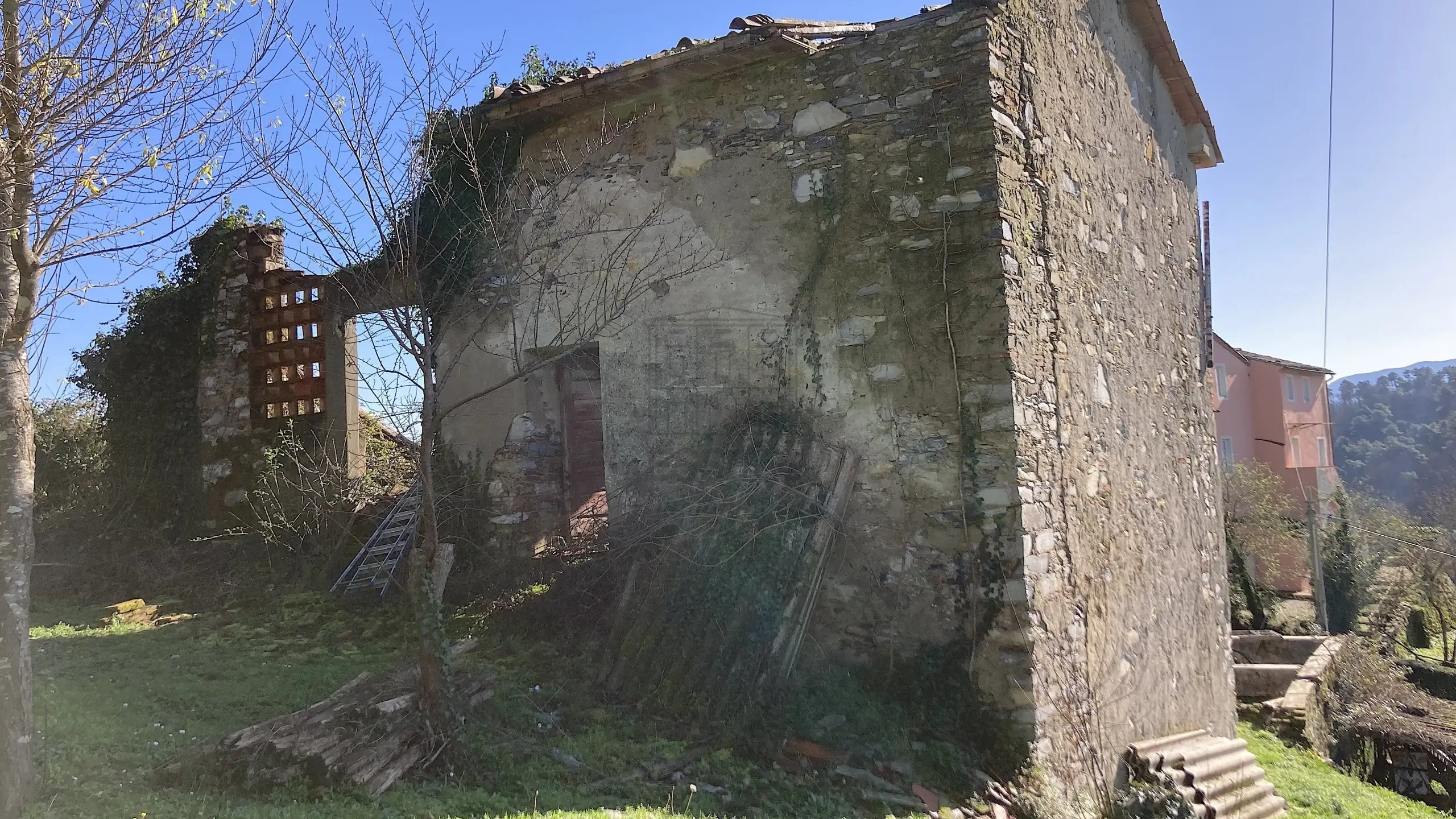 Immagine per Casale in vendita a Lucca via Di Villa Pardini Lucca