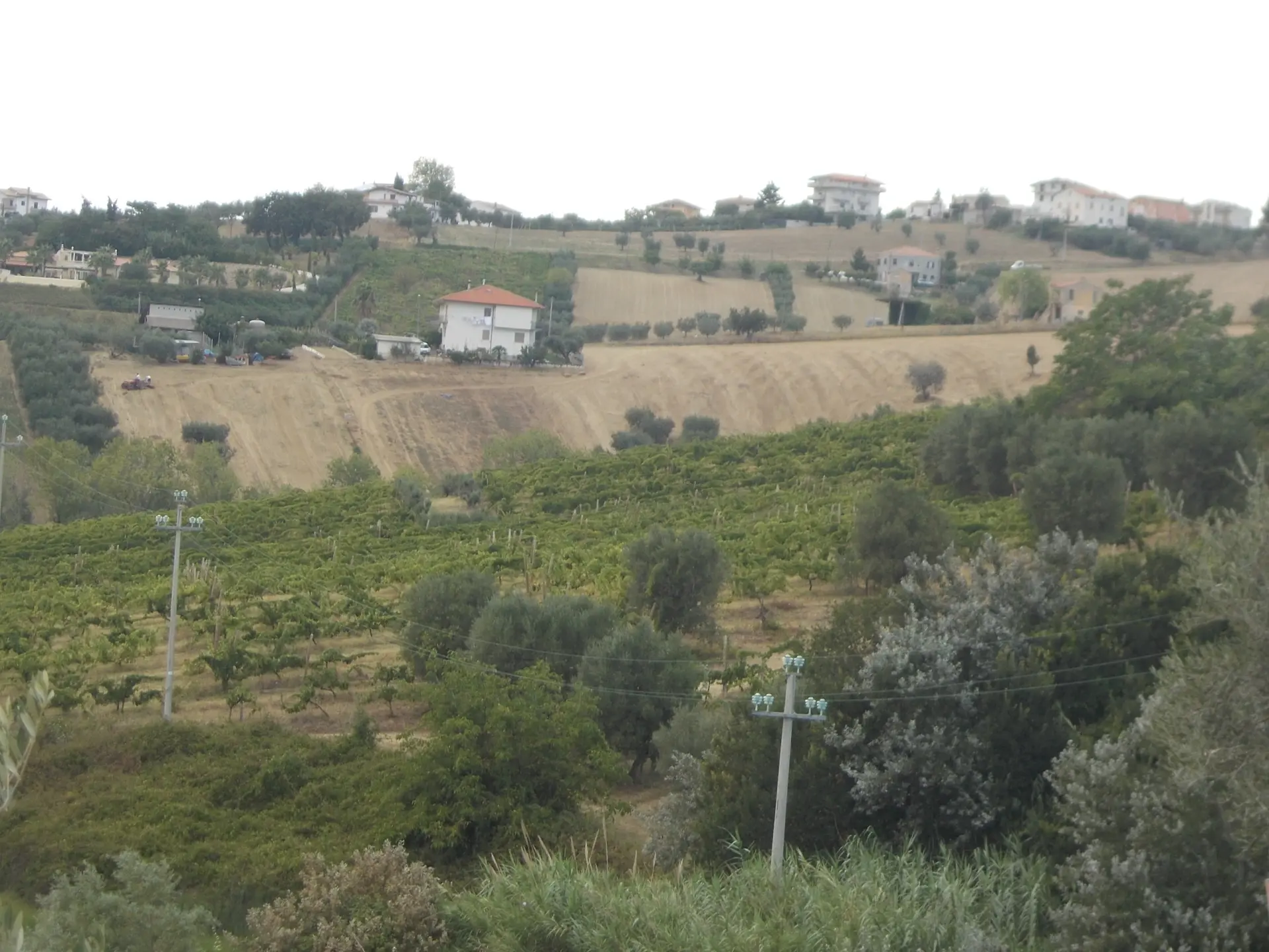 Immagine per Agricolo in vendita a Colonnella via Delle Cerase 1