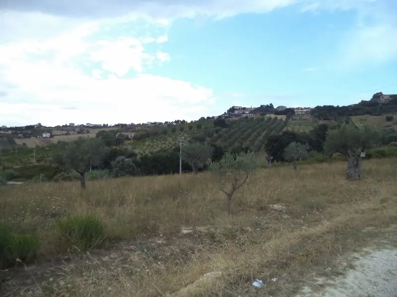 Immagine per Agricolo in vendita a Colonnella via Delle Cerase 1