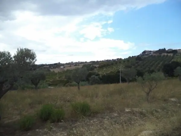 Immagine per Agricolo in vendita a Colonnella via Delle Cerase 1
