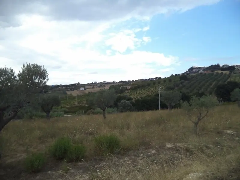 Immagine per Agricolo in vendita a Colonnella via Delle Cerase 1