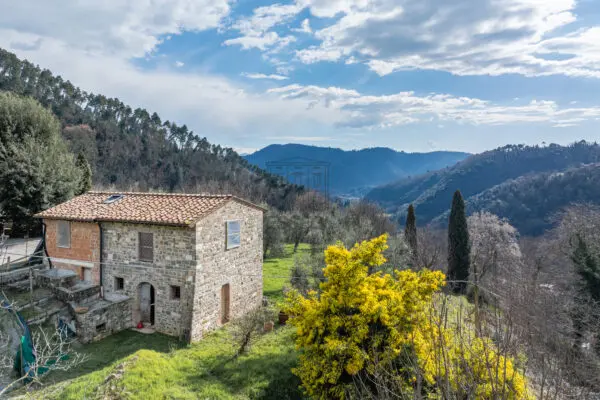 Casale via Del Calissi 18, Pescaglia