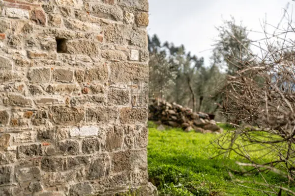 Casale via Del Calissi 18, Pescaglia