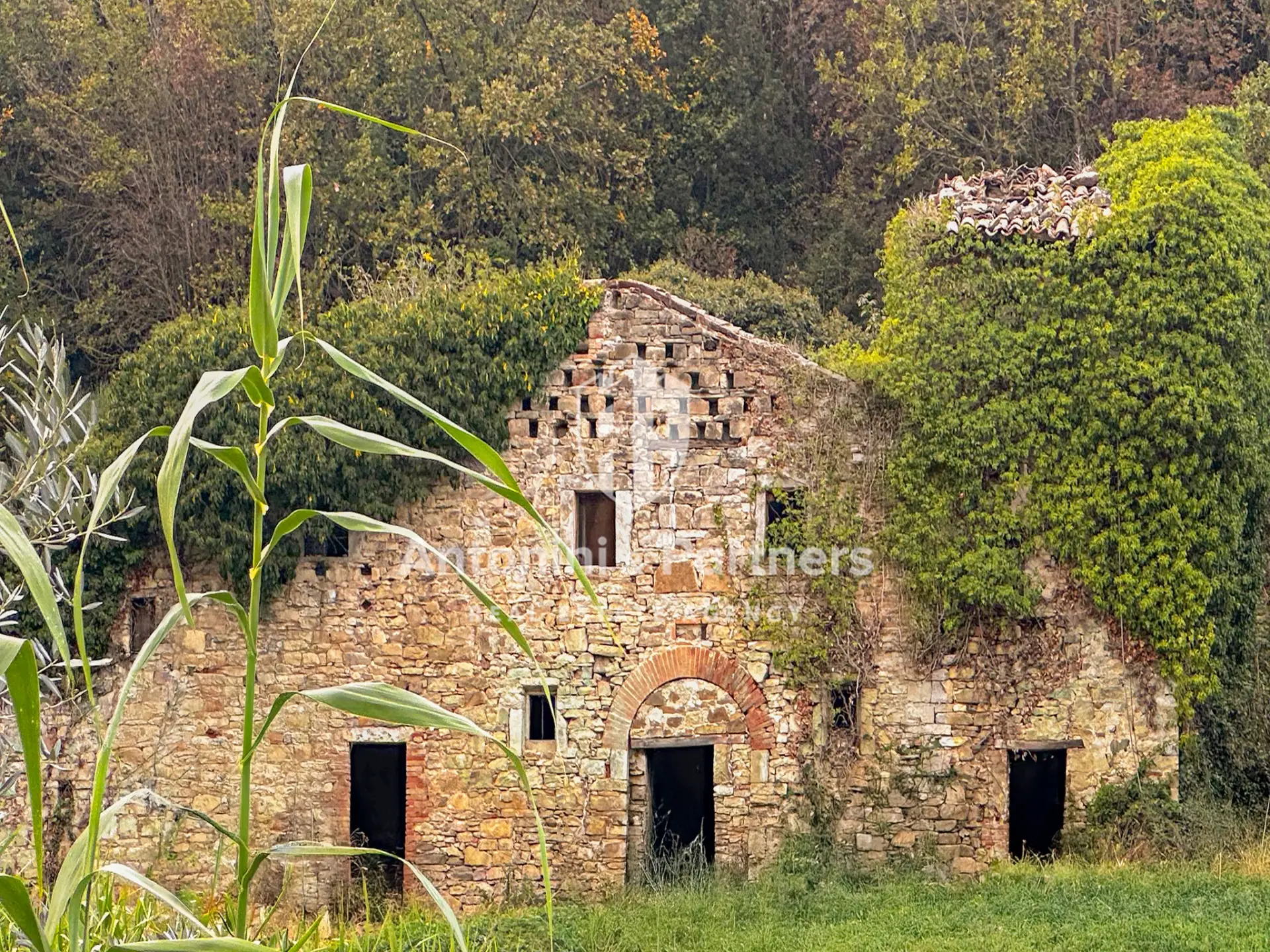 Immagine per Casale in vendita a Monte Castello di Vibio via Del Furioso