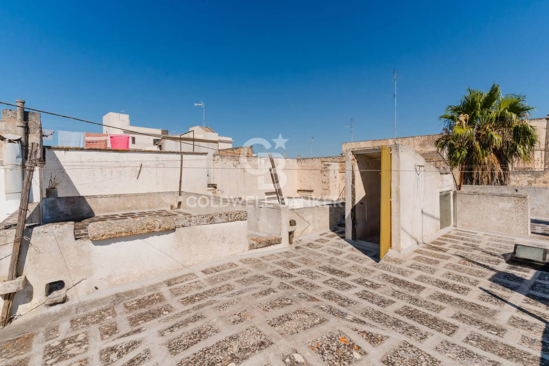 Immagine per Appartamento in vendita a Galatina Piazzetta Pietro Cavoti 4