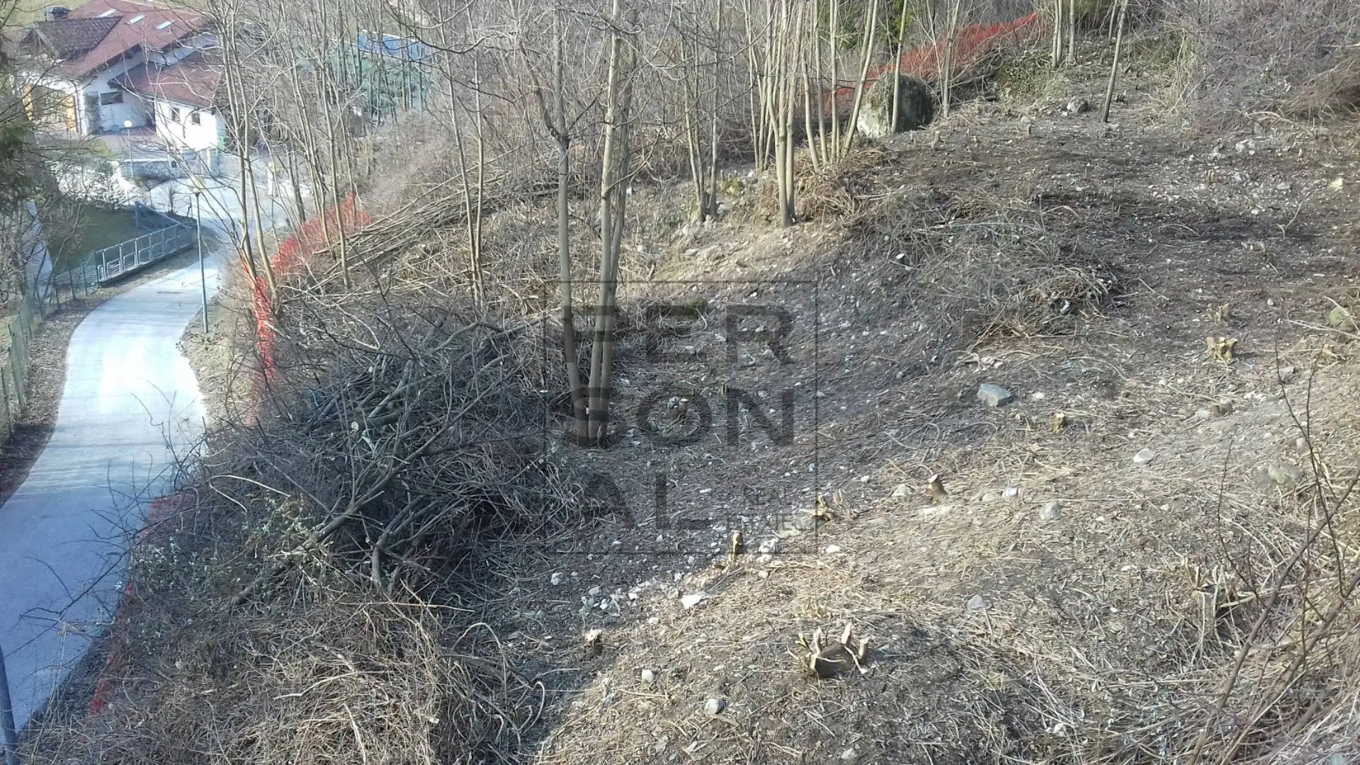 Immagine per Terreno Edificabile in vendita a Borgo Valsugana  