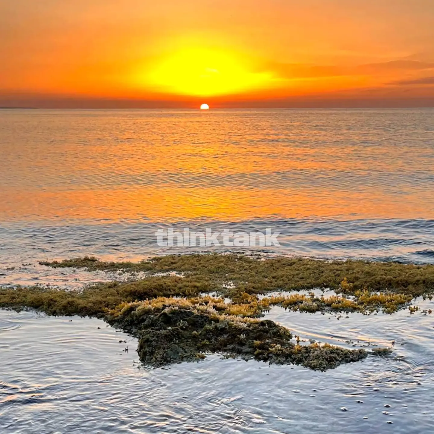 Immagine per Villetta a schiera in vendita a Noto Viale Sicilia 