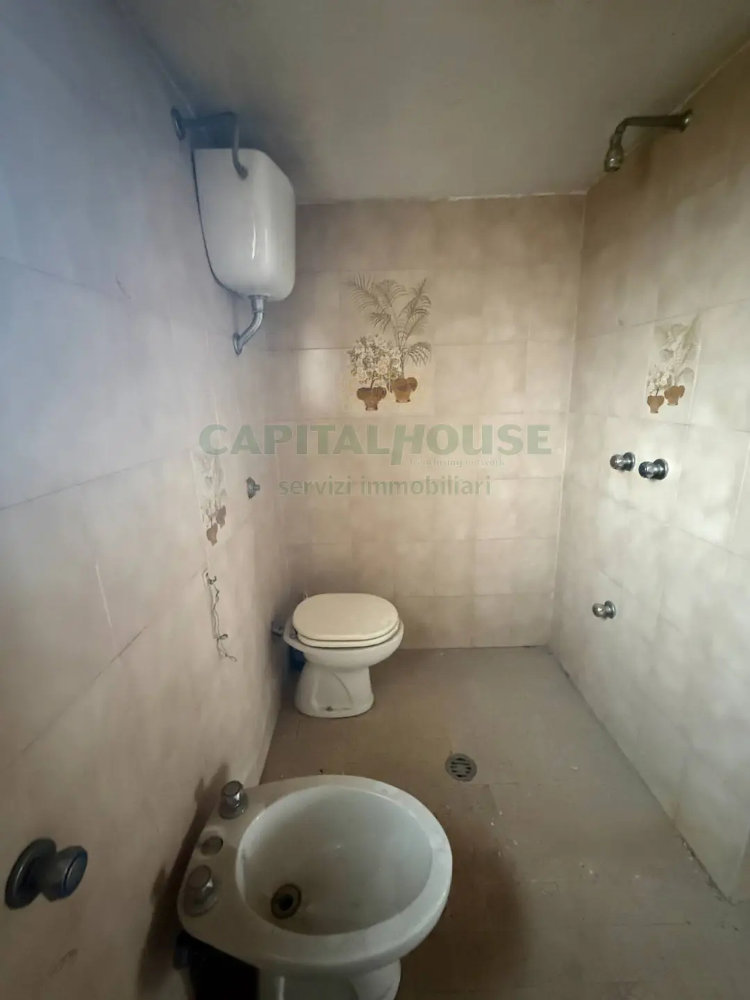 Immagine per Casa indipendente in vendita a Visciano VIA UMBERTO I 