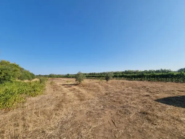 Terreno Agricolo via Località Is Murronis, Villaspeciosa