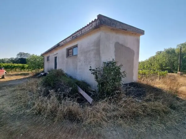Terreno Agricolo via Località Is Murronis, Villaspeciosa