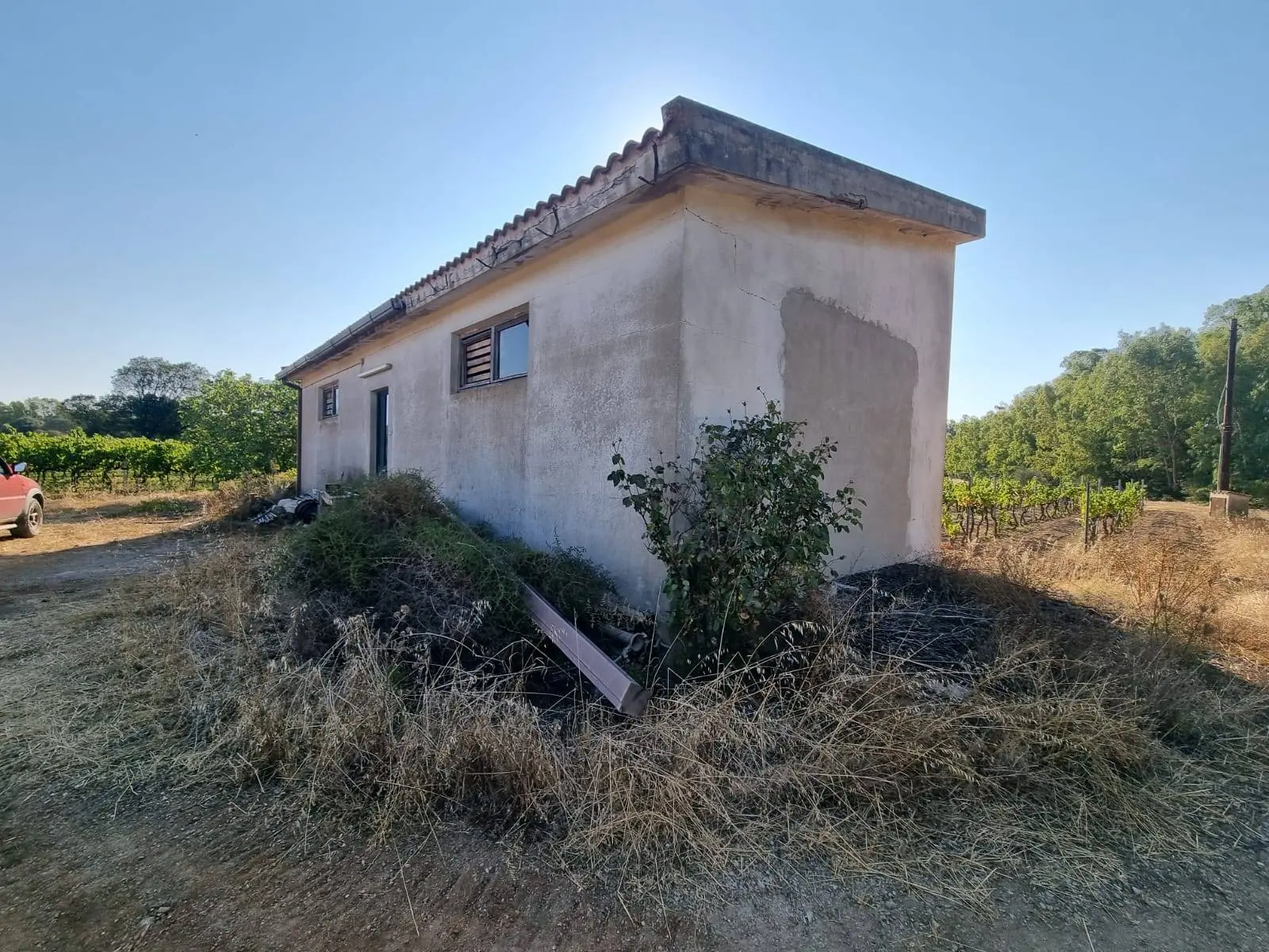 Immagine per Terreno Agricolo in vendita a Villaspeciosa Località Is Murronis 