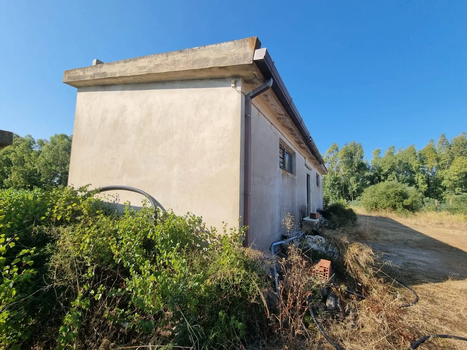 Immagine per Terreno Agricolo in vendita a Villaspeciosa Località Is Murronis 