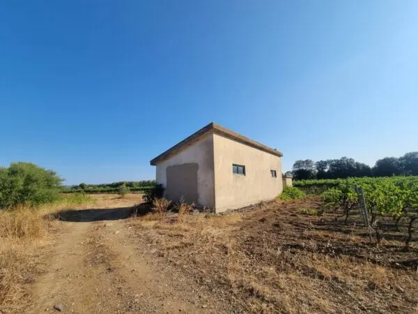 Terreno Agricolo via Località Is Murronis, Villaspeciosa