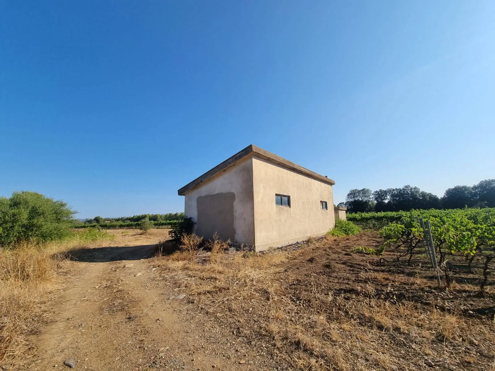 Immagine per Terreno Agricolo in vendita a Villaspeciosa Località Is Murronis 