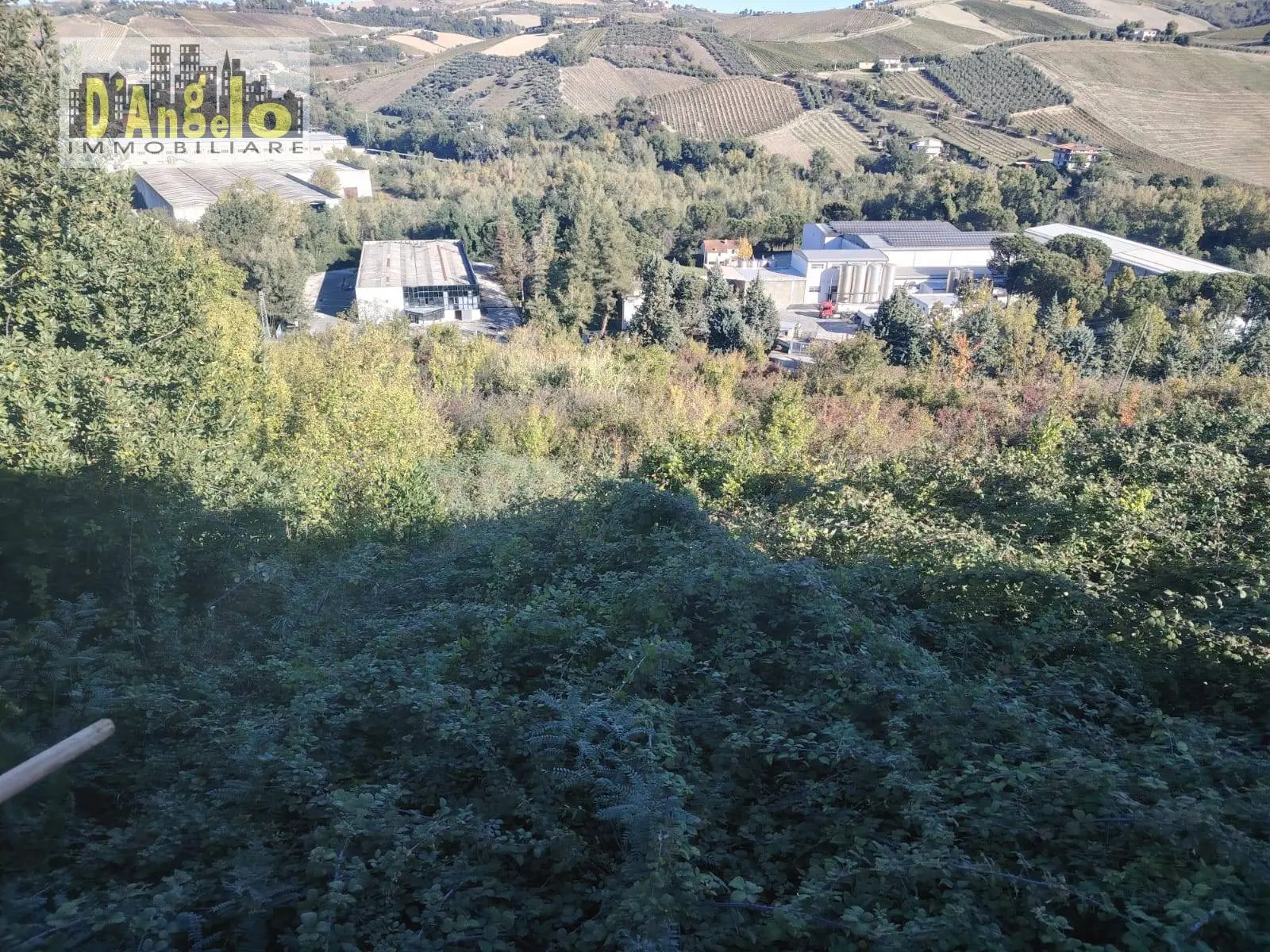 Immagine per Casa indipendente in vendita a Offida CONTRADA TESINO 216