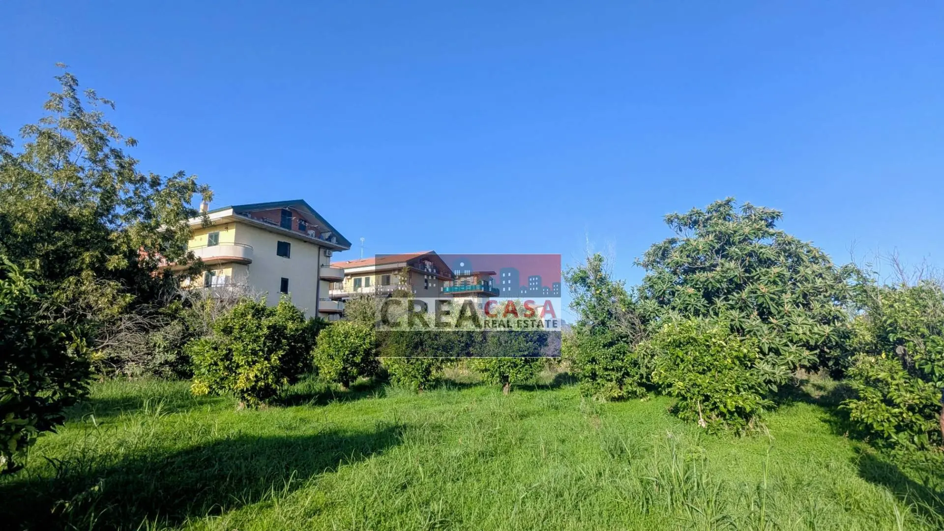 Immagine per Terreno Agricolo in vendita a Calatabiano via Nazionale 