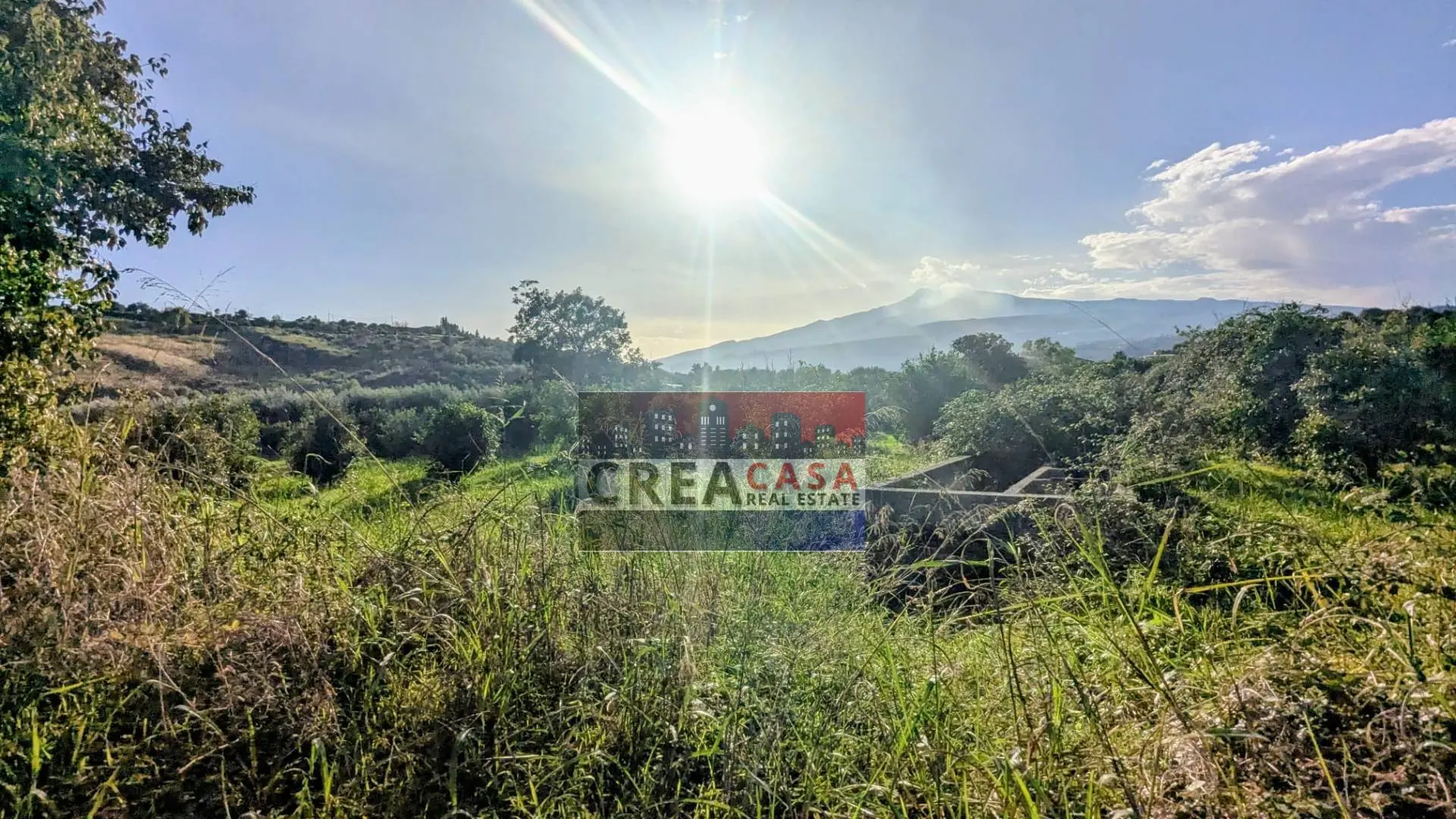 Immagine per Terreno Agricolo in vendita a Calatabiano via Nazionale 