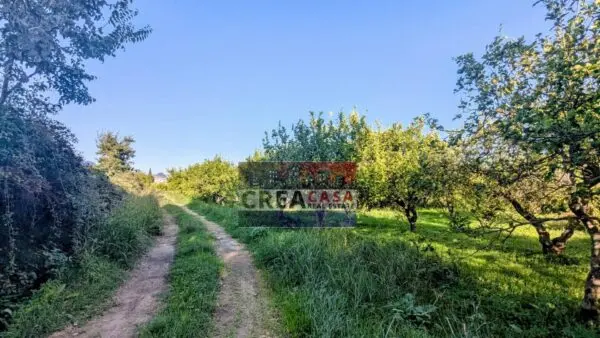 Terreno Agricolo via Nazionale, Calatabiano