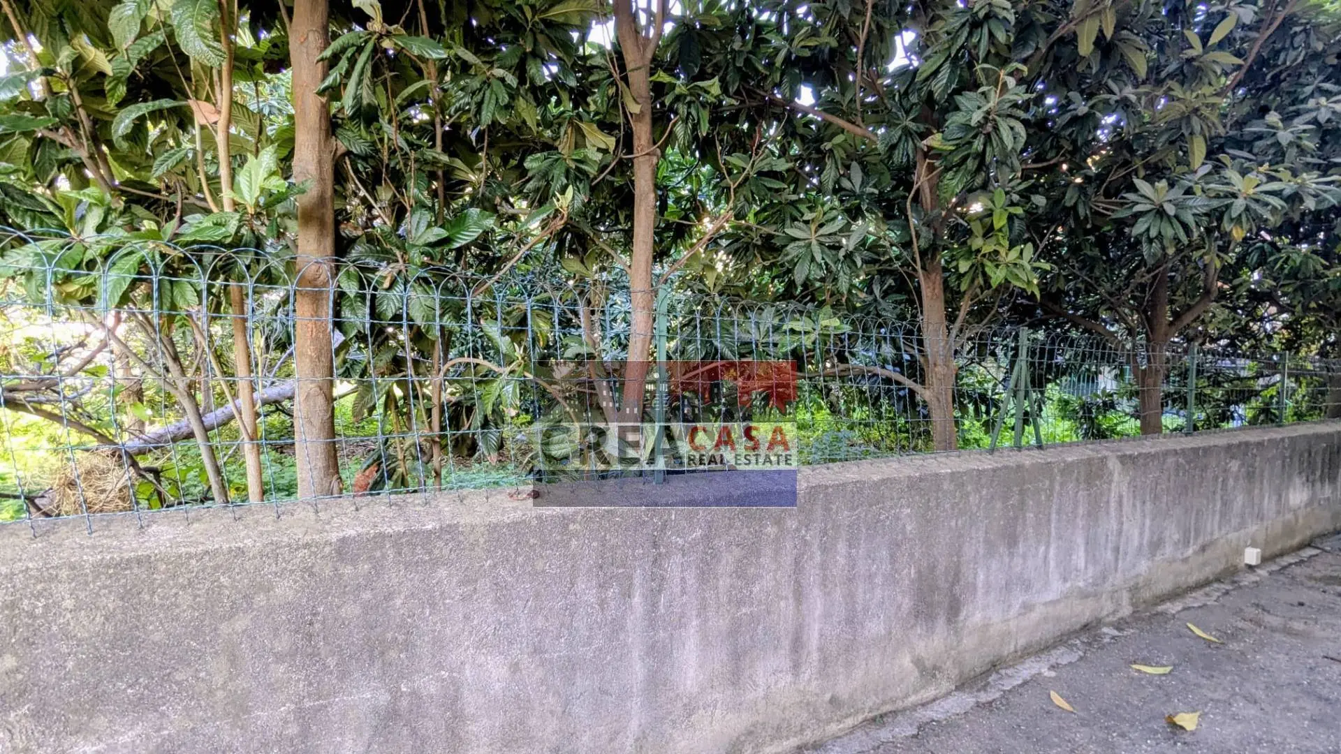 Immagine per Terreno Edificabile in vendita a Calatabiano Alessandro Manzoni 