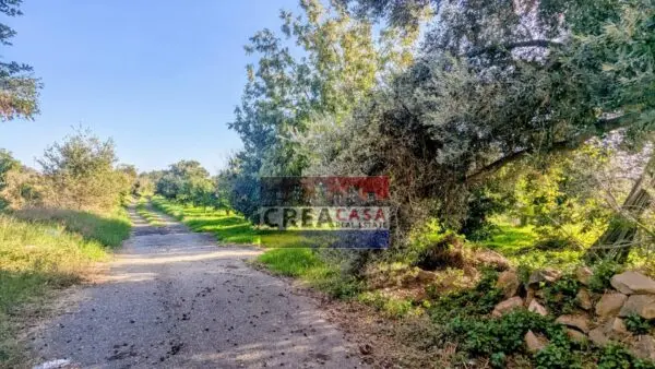 Terreno Agricolo via Nazionale, Calatabiano