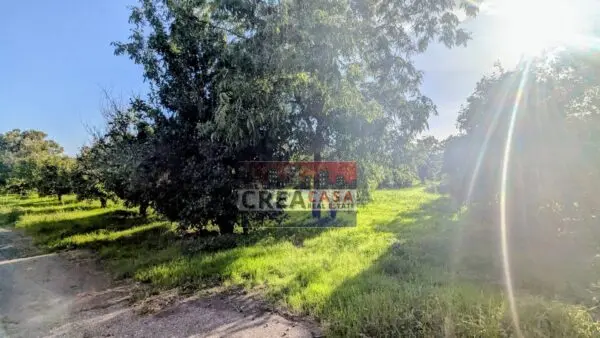 Terreno Agricolo via Nazionale, Calatabiano