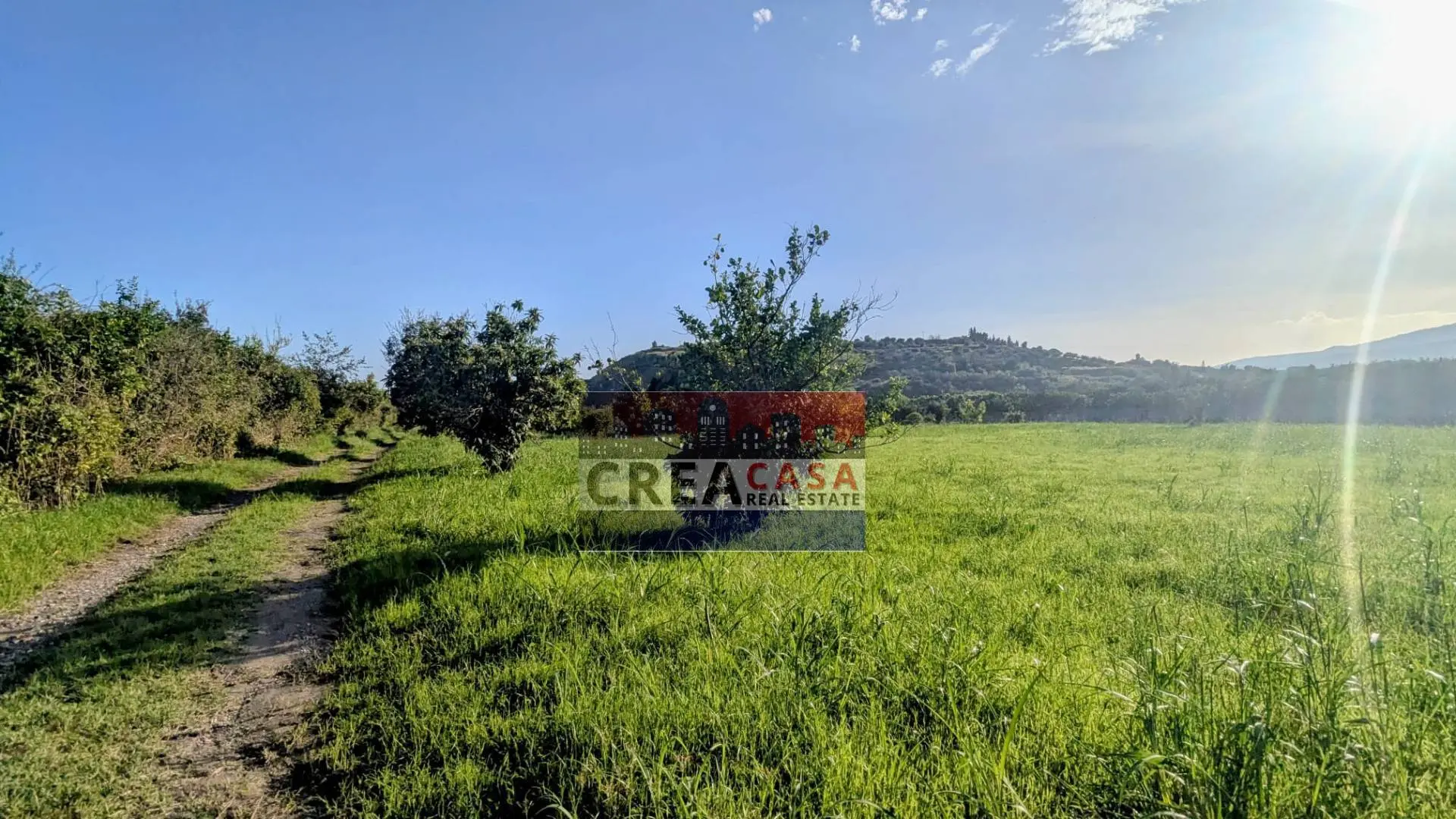 Immagine per Terreno Agricolo in vendita a Calatabiano via Nazionale 