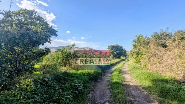 Terreno Agricolo via Nazionale, Calatabiano