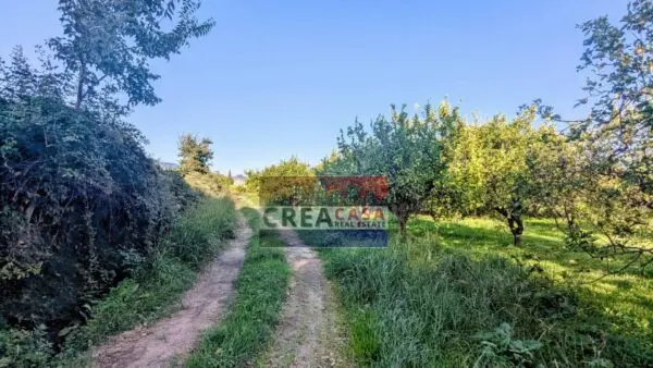 Terreno Agricolo via Nazionale, Calatabiano