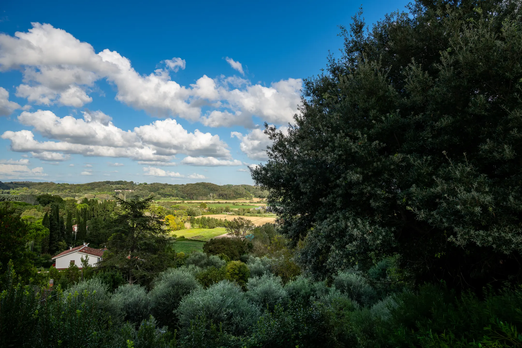 Immagine per Villa in vendita a Collesalvetti via Delle Corti
