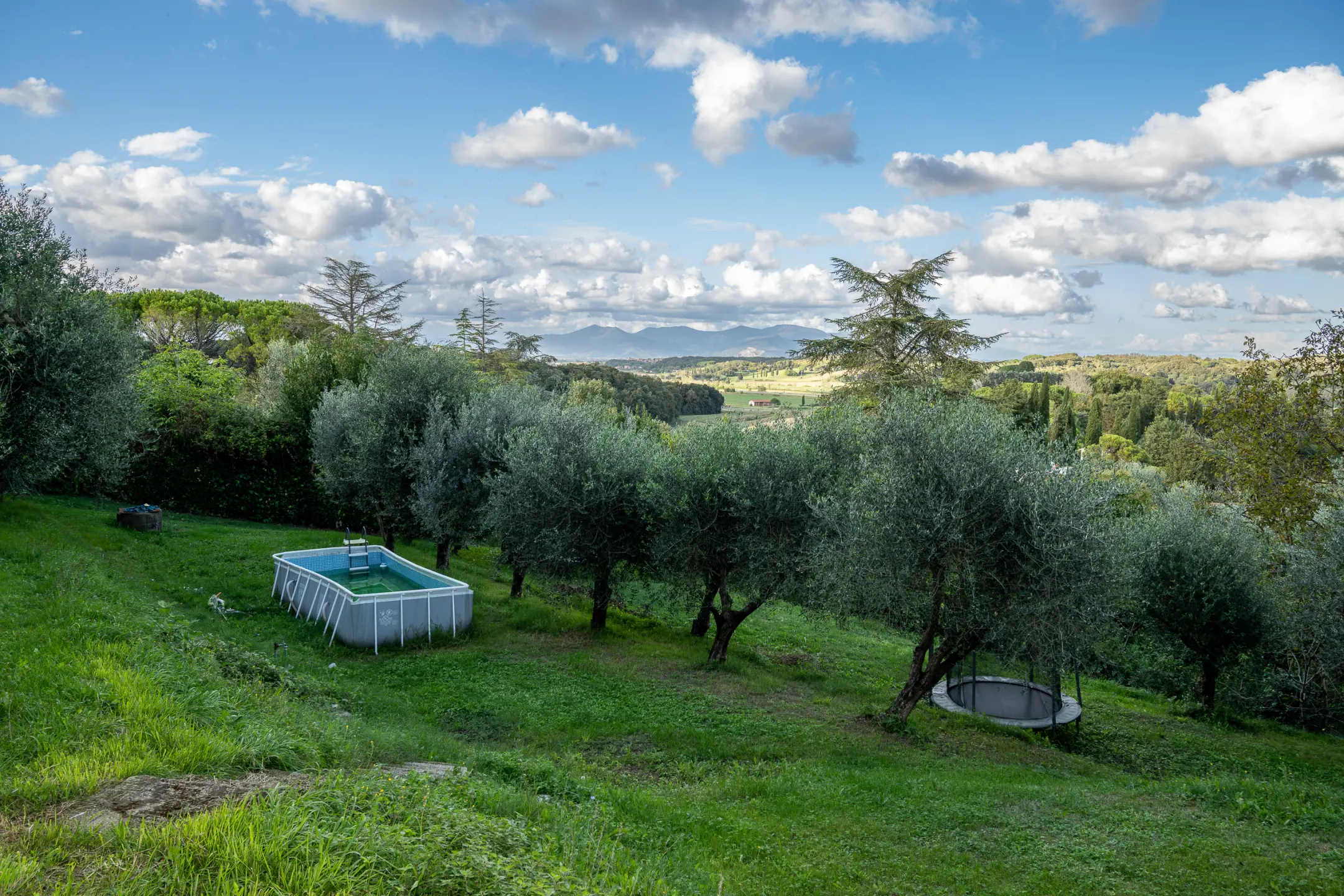 Immagine per Villa in vendita a Collesalvetti via Delle Corti