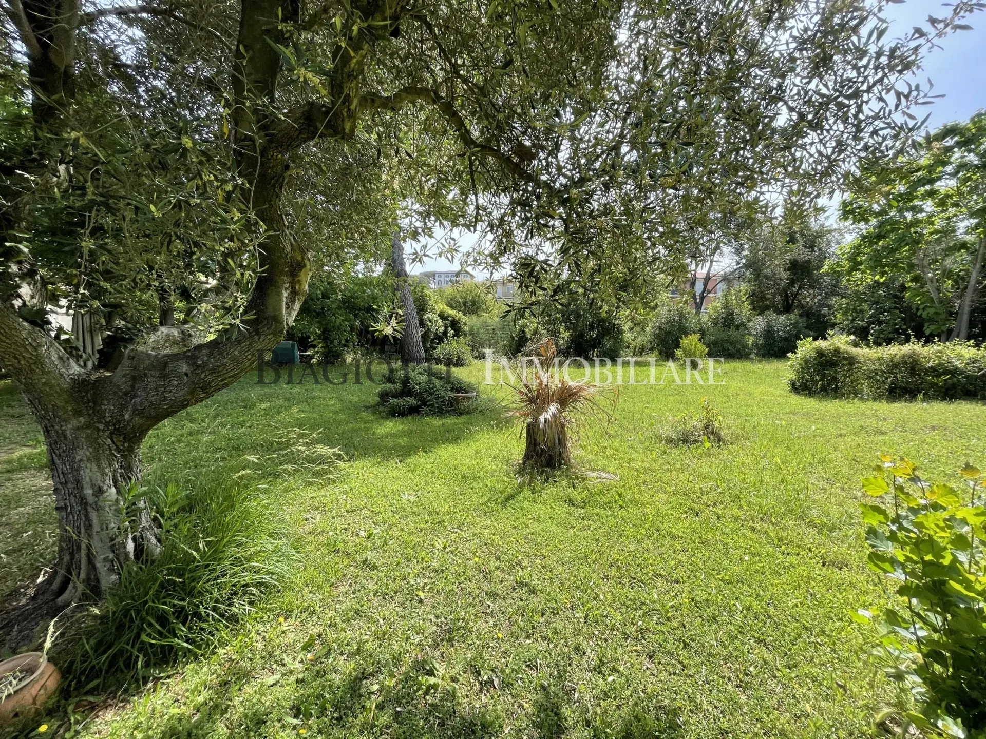 Immagine per Villa in vendita a Livorno via Elio Zeme 31