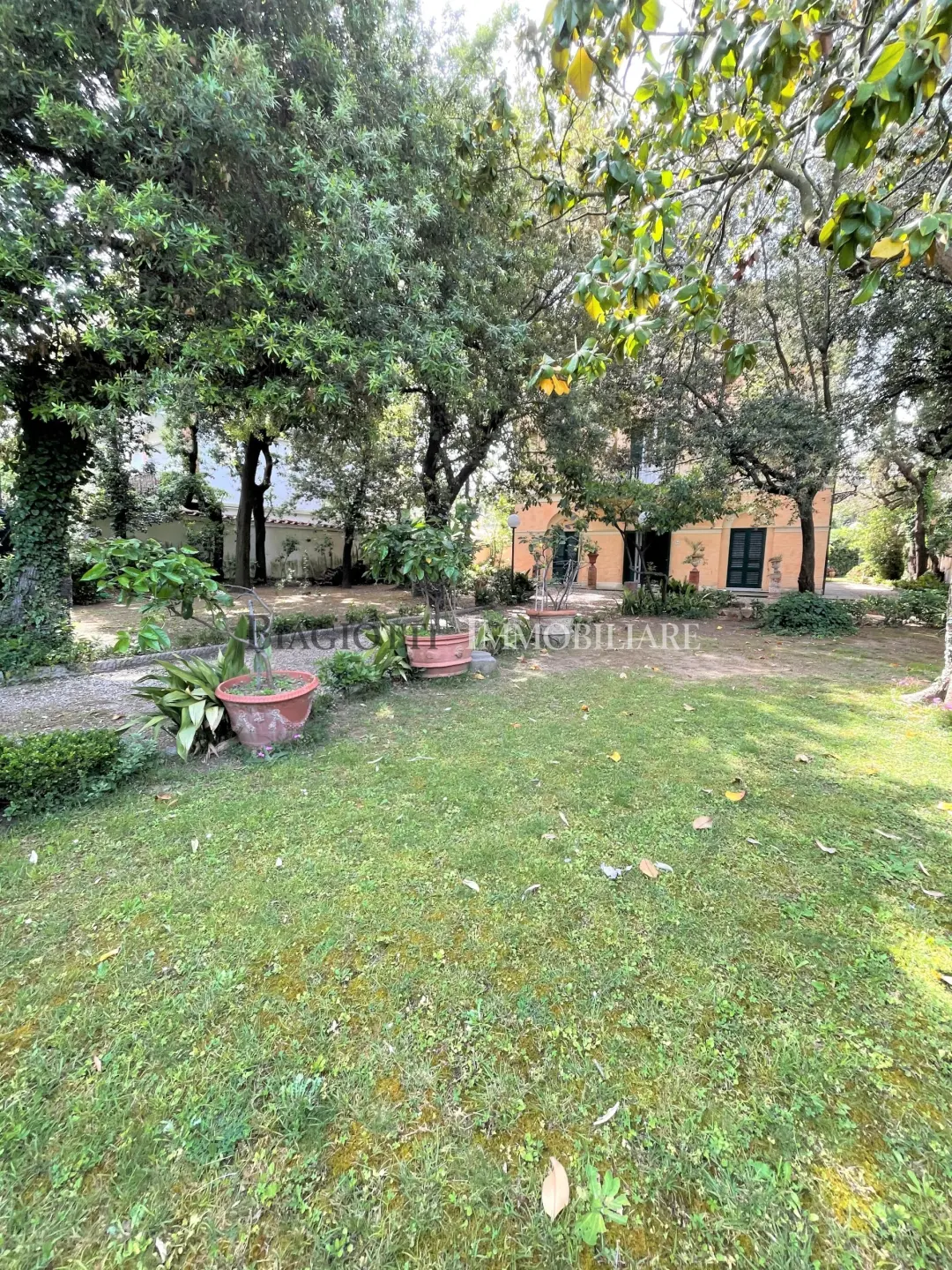 Immagine per Villa in vendita a Livorno via Elio Zeme 31