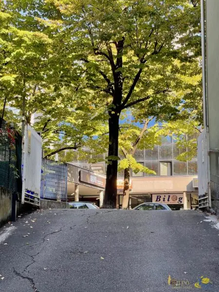 Garage viale Piacenza 18, Parma