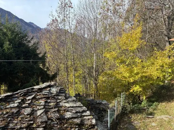 Porzione Di Casa via Frazione Le Coste 11, Lemie