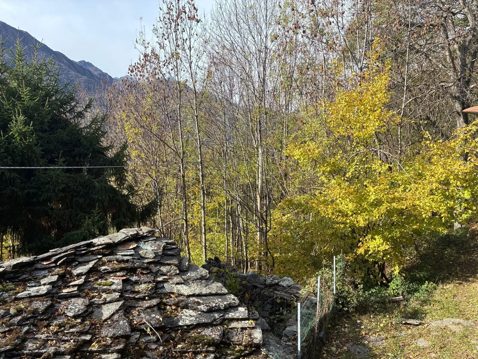 Immagine per Porzione di casa in vendita a Lemie via Frazione Le Coste 11