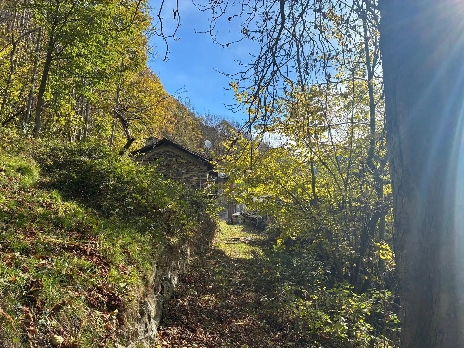 Immagine per Porzione di casa in vendita a Lemie via Frazione Le Coste 11