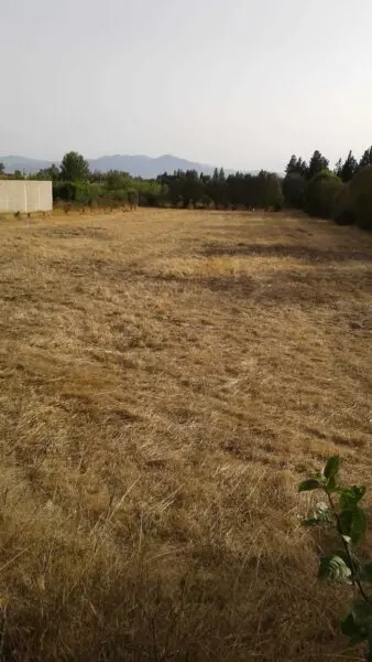 Agricolo via Is Spinargius, San Sperate