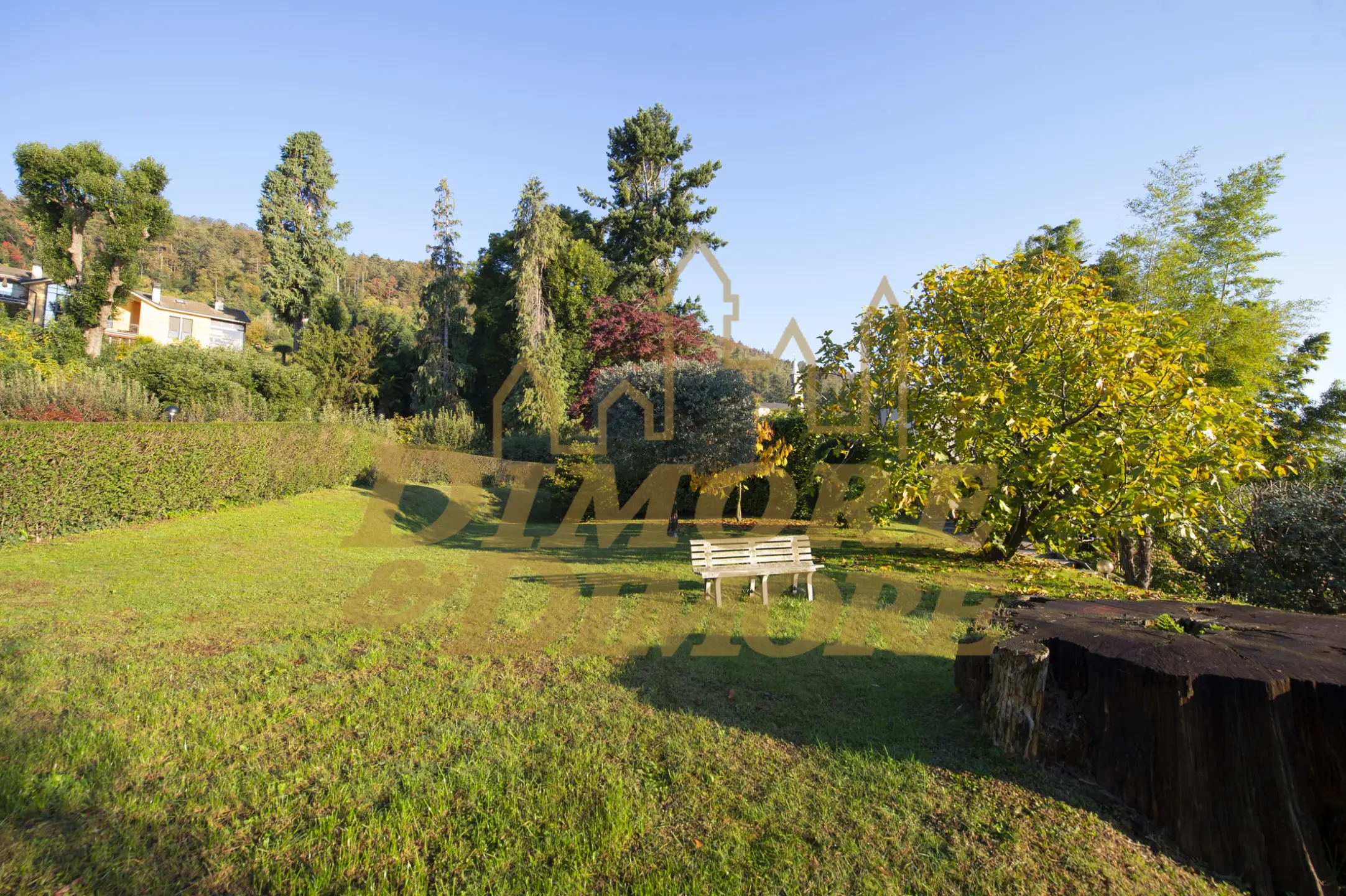 Immagine per Villa in vendita a Ghiffa corso Belvedere 35