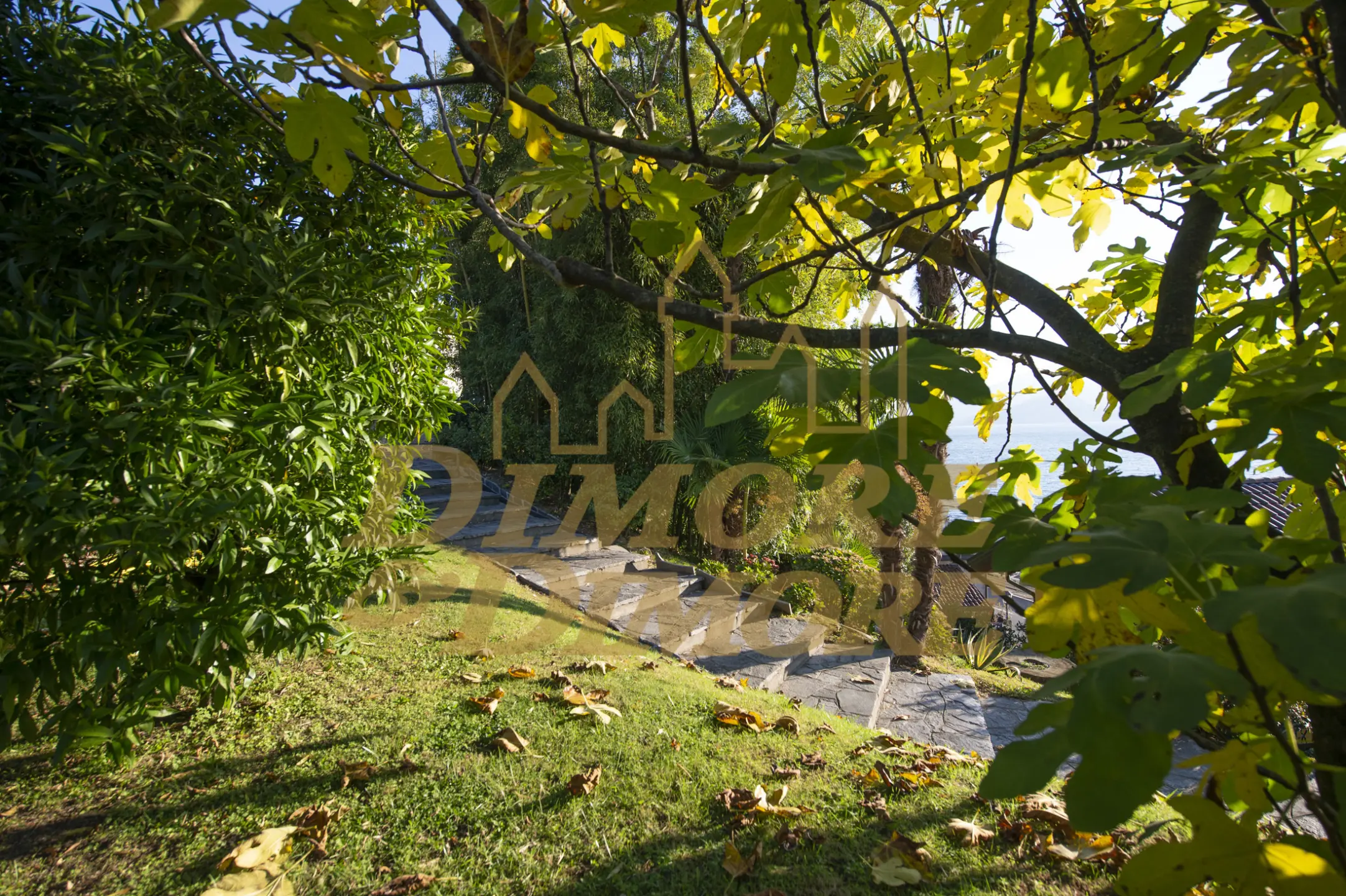 Immagine per Villa in vendita a Ghiffa corso Belvedere 35