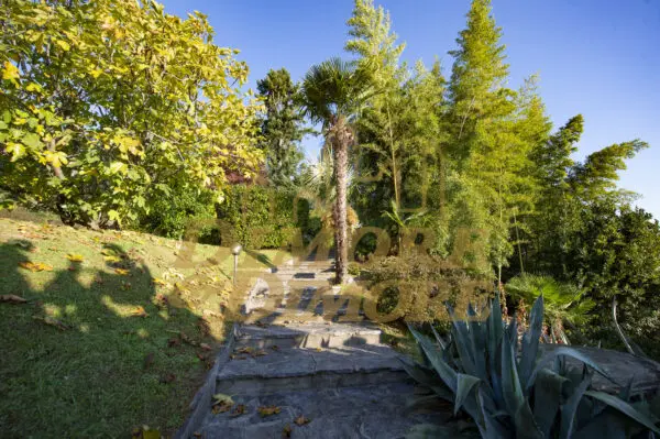 Villa corso Belvedere 35, Ghiffa