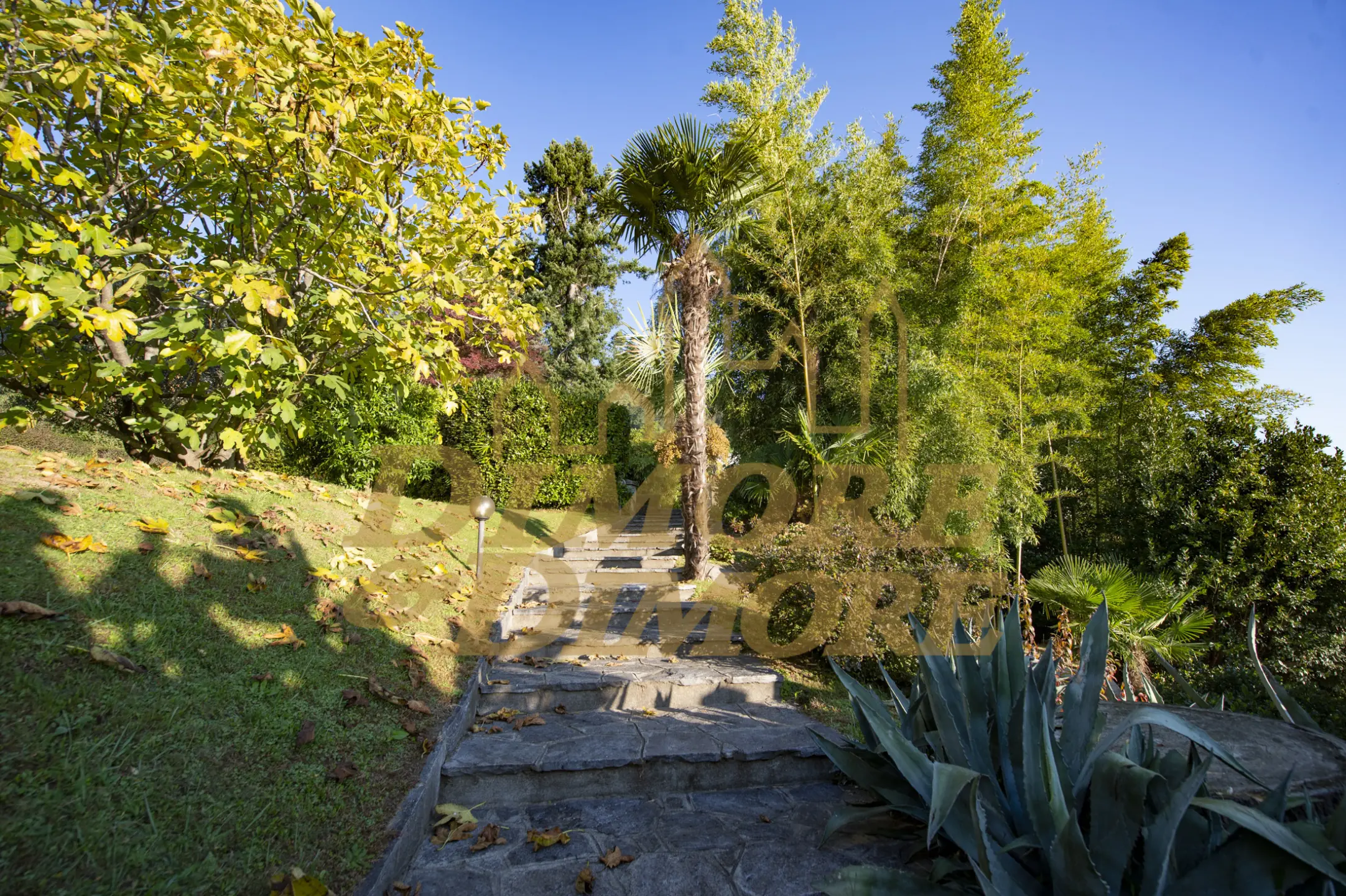 Immagine per Villa in vendita a Ghiffa corso Belvedere 35