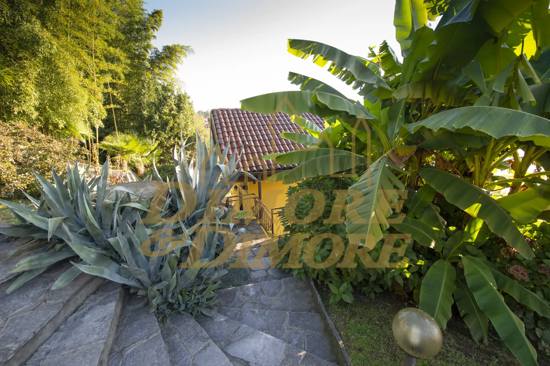 Immagine per Villa in vendita a Ghiffa corso Belvedere 35