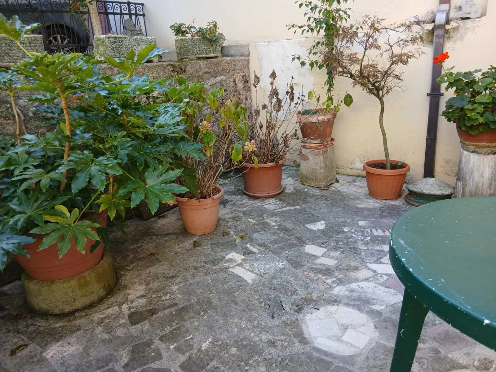 Immagine per Terratetto in vendita a Guardea via Frazione Frattuccia 22