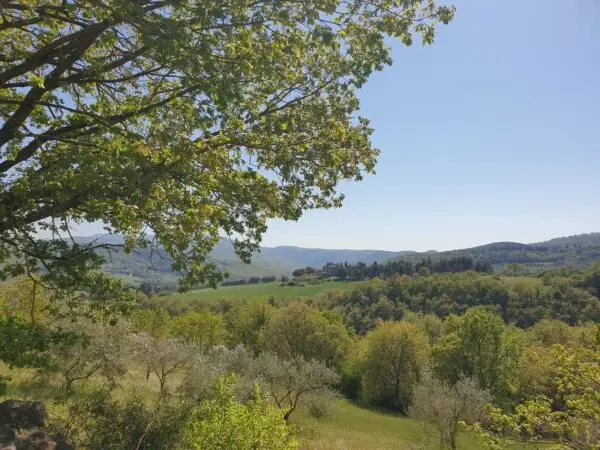 Villa via Località Canonica 1, Todi