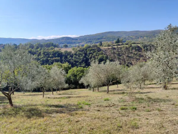 Villa via Località Canonica 1, Todi