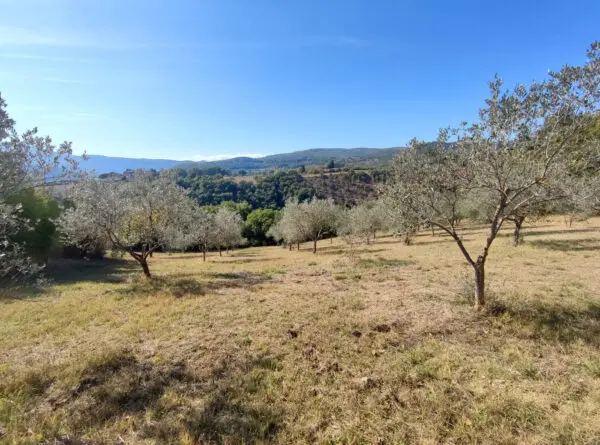 Villa via Località Canonica 1, Todi