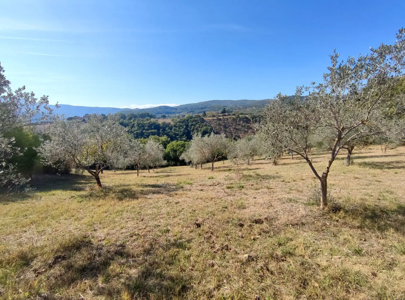 Immagine per Villa in vendita a Todi via Località Canonica 1