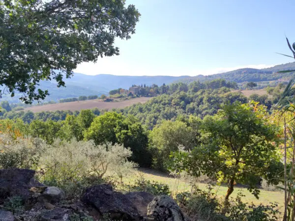 Villa via Località Canonica 1, Todi