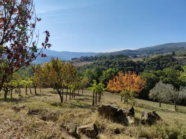 Villa via Località Canonica 1, Todi